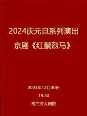 2024cԪϵݳtR